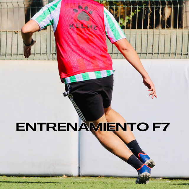 ENTRENAMIENTO F7